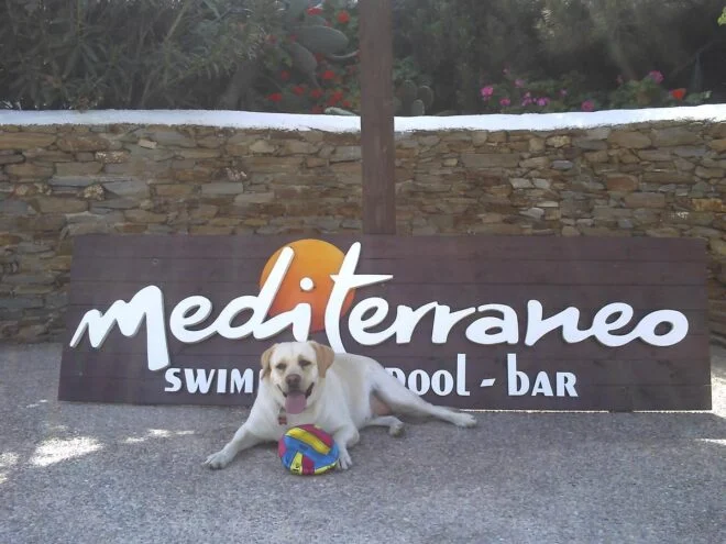 Corporate Website for Mediterraneo Hotel Greece gallery image